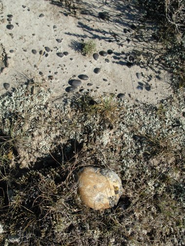 Anvil stone and black pebbles at Misty Hills (EkOp-41). Photo credit: Lifeways of Canada Ltd.